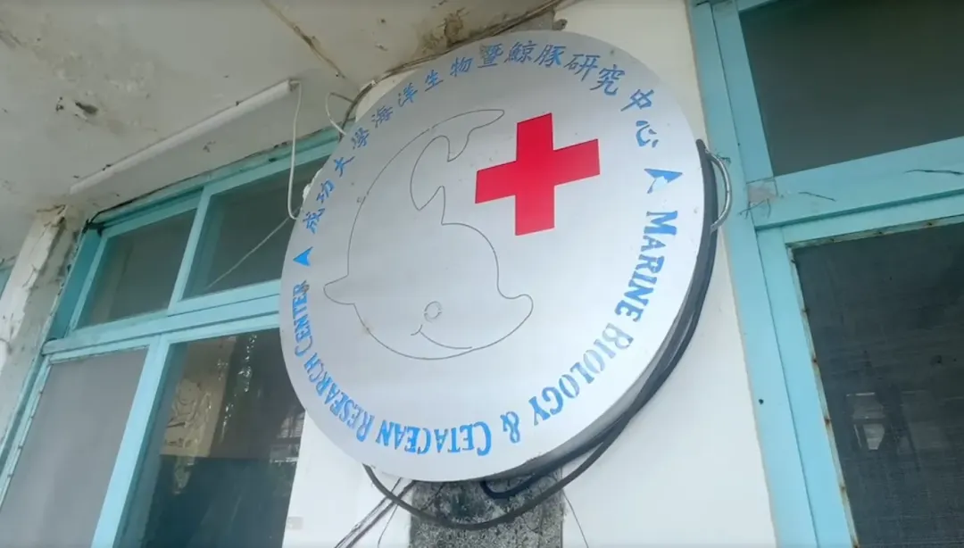 四草水鳥保護區内的台江鯨豚搶救中心，曾是台灣西南海岸最重要的鯨豚救援據點。（圖/中天新聞）