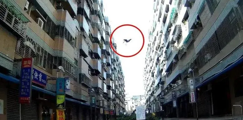 台中36歲呂姓男子,疑不滿弟弟沒工作,在家中大吵大鬧。(圖/翻攝畫面)