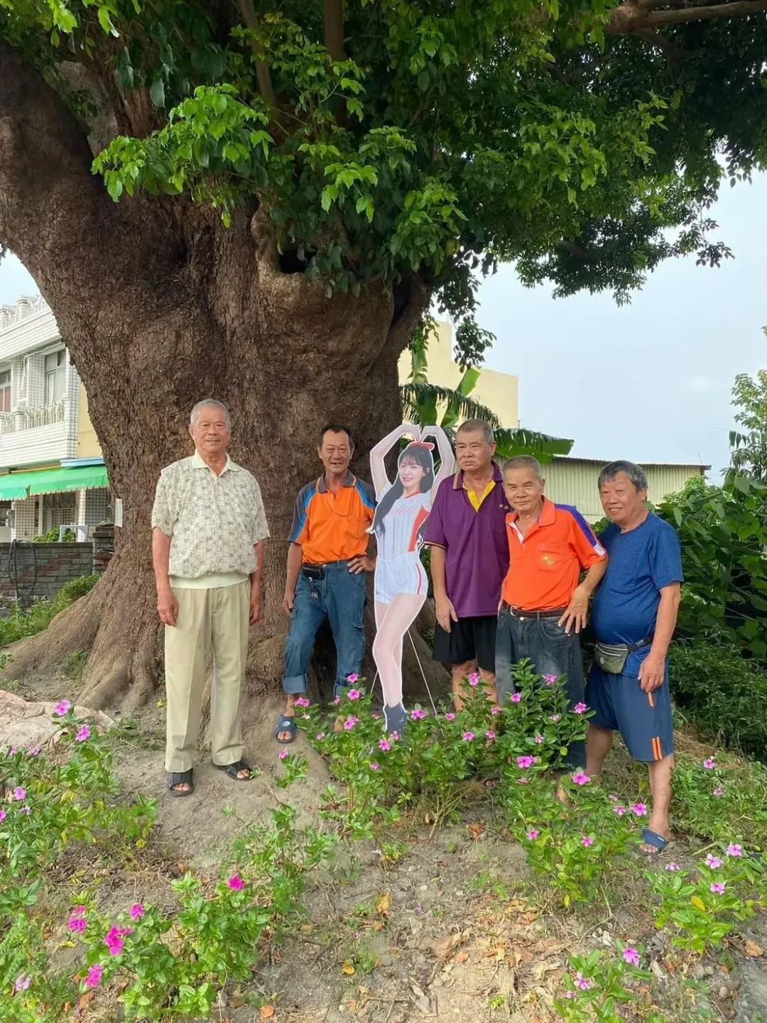 永北村大發路上的老茄苳樹,吸引許多鄉親合影。(圖/劉銘松提供)