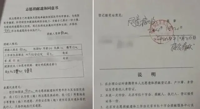 楊虹簽署的遺體捐贈同意書（圖／翻攝微博）
