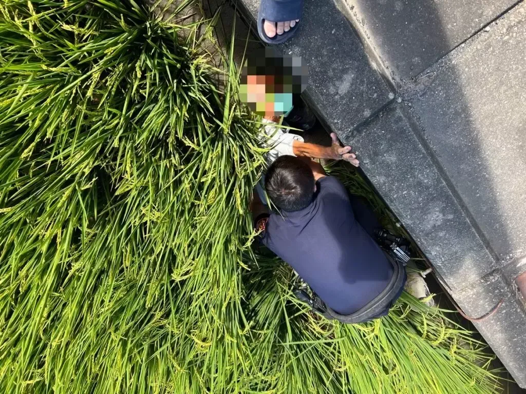 老翁跌進稻田。（圖／記者爆料網）