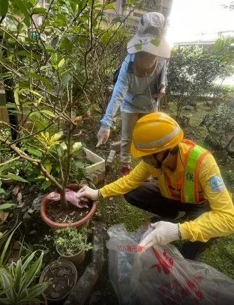 近期受康芮颱風外環環流影響，降雨容易造成積水，環境有利於病媒蚊生長，請民眾務必於雨後落實「巡、倒、清、刷」。