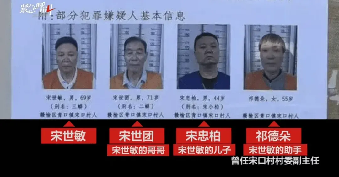 宋世敏（左一）及其犯罪集團成員（圖／翻攝微博）