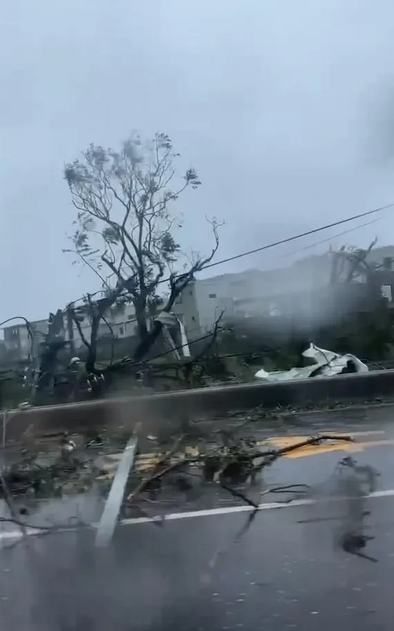 花蓮康樂村台九線路樹以及路邊物品都被吹落倒塌。（圖／翻攝自爆料公社）