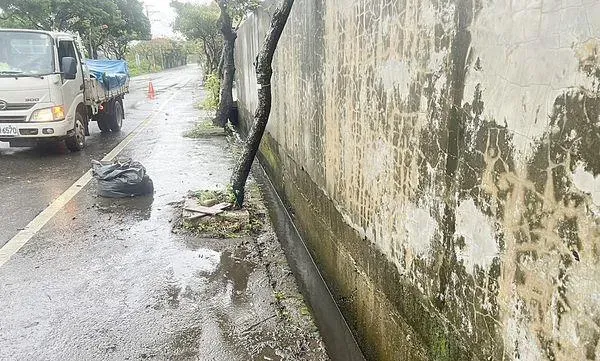 陳奕霖里長和志工清理的水溝現場還留有清理水溝使用的垃圾袋。(圖/桃園市政府養工處提供)