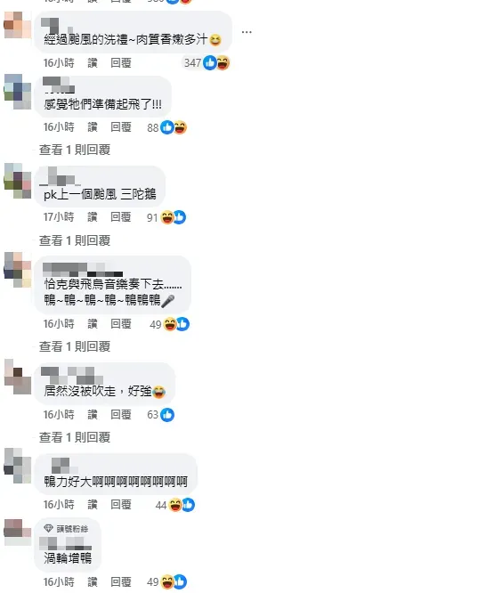 網友留言討論。（圖／翻攝自臉書爆料公社）