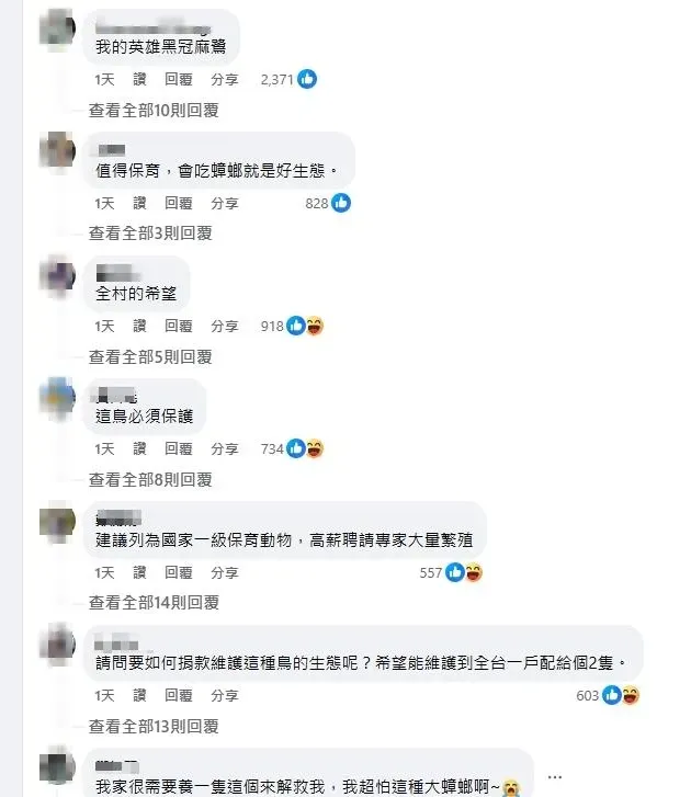 網友留言一面倒大讚黑冠麻鷺。(圖/翻攝自路上觀察學院臉書社團)