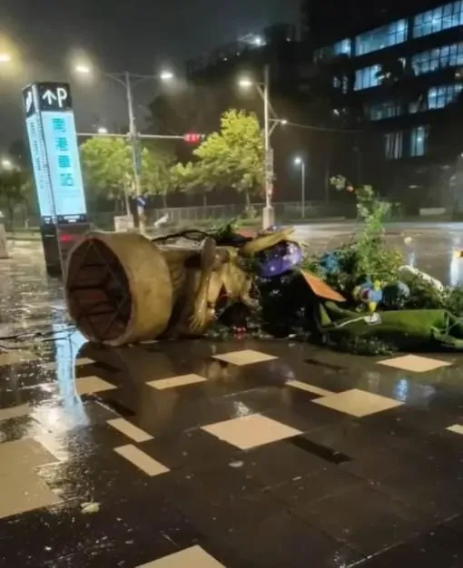 大樹爺爺被吹倒。（圖／FB）