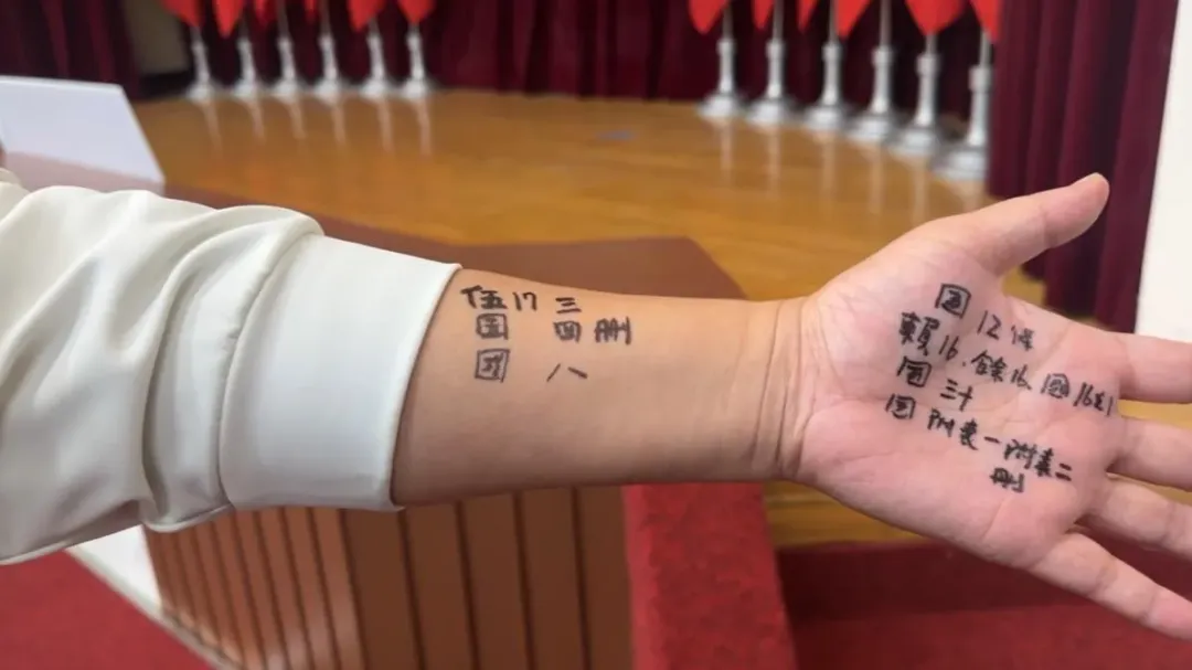 審查財劃法，陳玉珍把小抄刻在手上（攝自中天新聞）