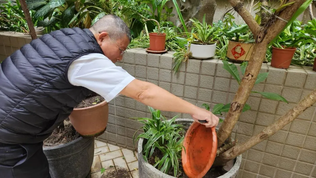 新北市衛生局長陳潤秋指出,新北登革熱疫情已獲得有效控制,惟近期颱風降雨後孳生病媒蚊仍有零星病例發生。(圖/衛生局提供)