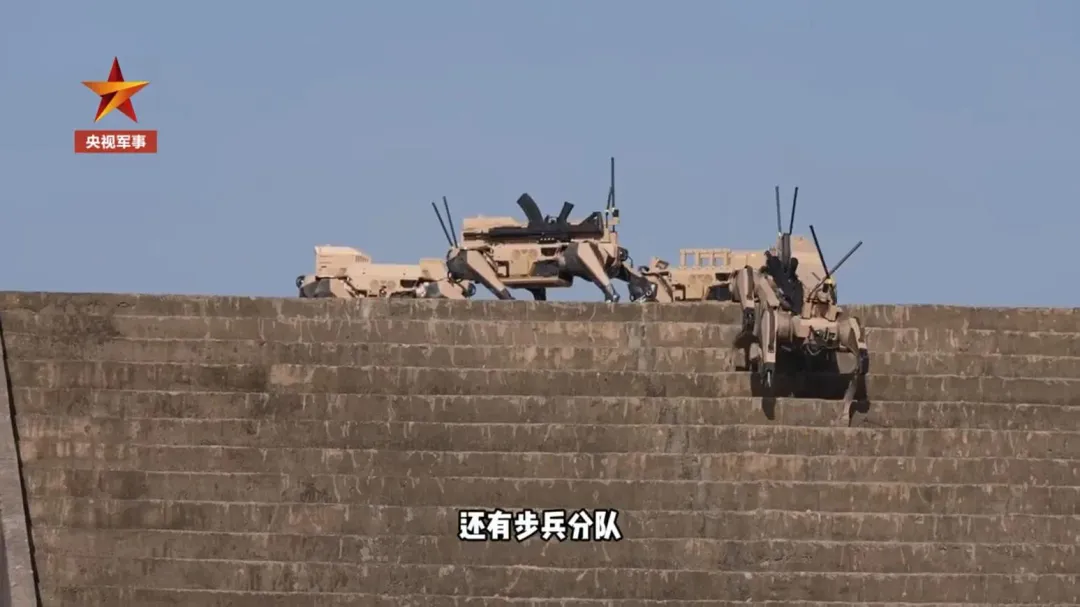 「機器狼」智慧無人集群作戰方式，可有效解決在城市市區、山地高原等複雜場景。（圖／翻攝央視軍事）