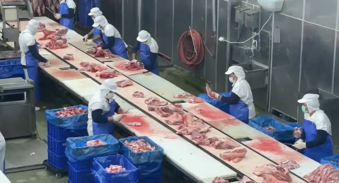 員工屠宰豬肉。(圖/中天新聞)