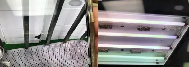 牆壁油漆剝落（左）以及燈管上有果蠅（右）。（圖／北市衛生局）