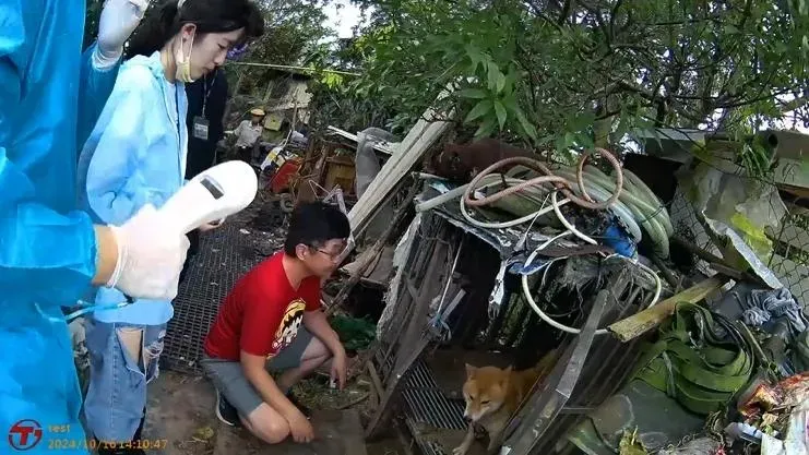 動保所查緝非法繁殖。（圖／翻攝畫面）