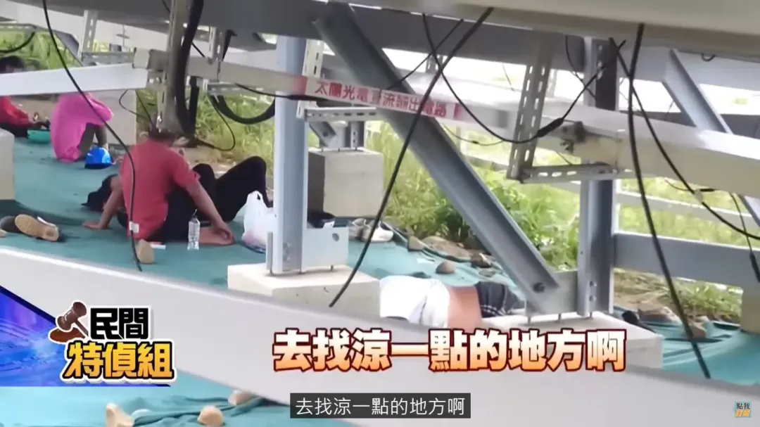 少數當地民眾躲在運作發電的光電板下休息。(圖/中天新聞)