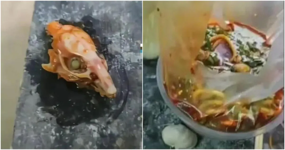 有陸網友爆料在甘肅天水牛肉麵店吃到疑似老鼠頭。(圖/翻攝微博)