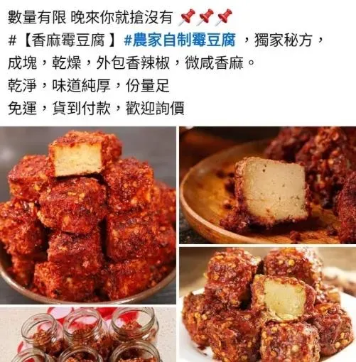 近幾年台灣出現不少大陸當地的零食、產品，而近期一個名為「香辣霉豆腐」的產品，開始出現在許多臉書的地方社團。（圖／翻攝自農藝女孩看世界臉書粉專）