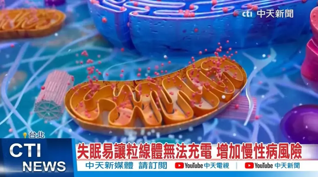 失眠易讓粒線體無法充電，增加慢性疾病風險。（圖／中天新聞）