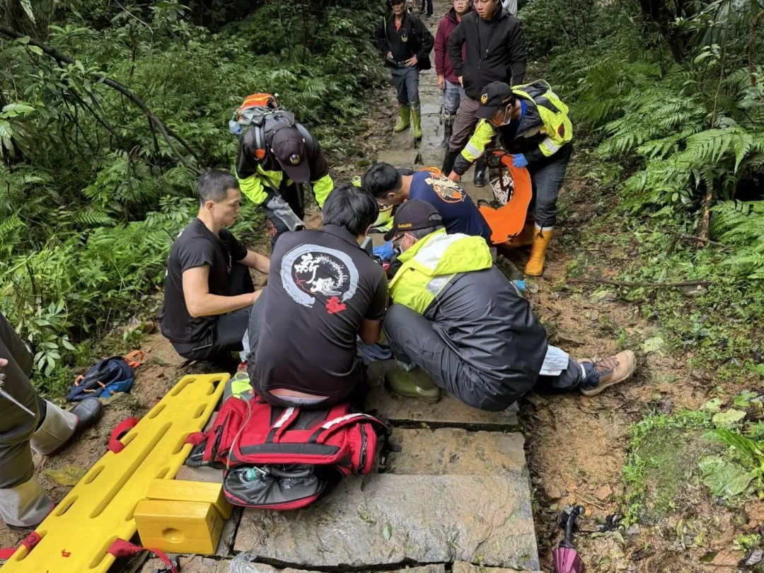徐男攀登草嶺古道跌倒頭部重創身亡。(圖/翻攝畫面)