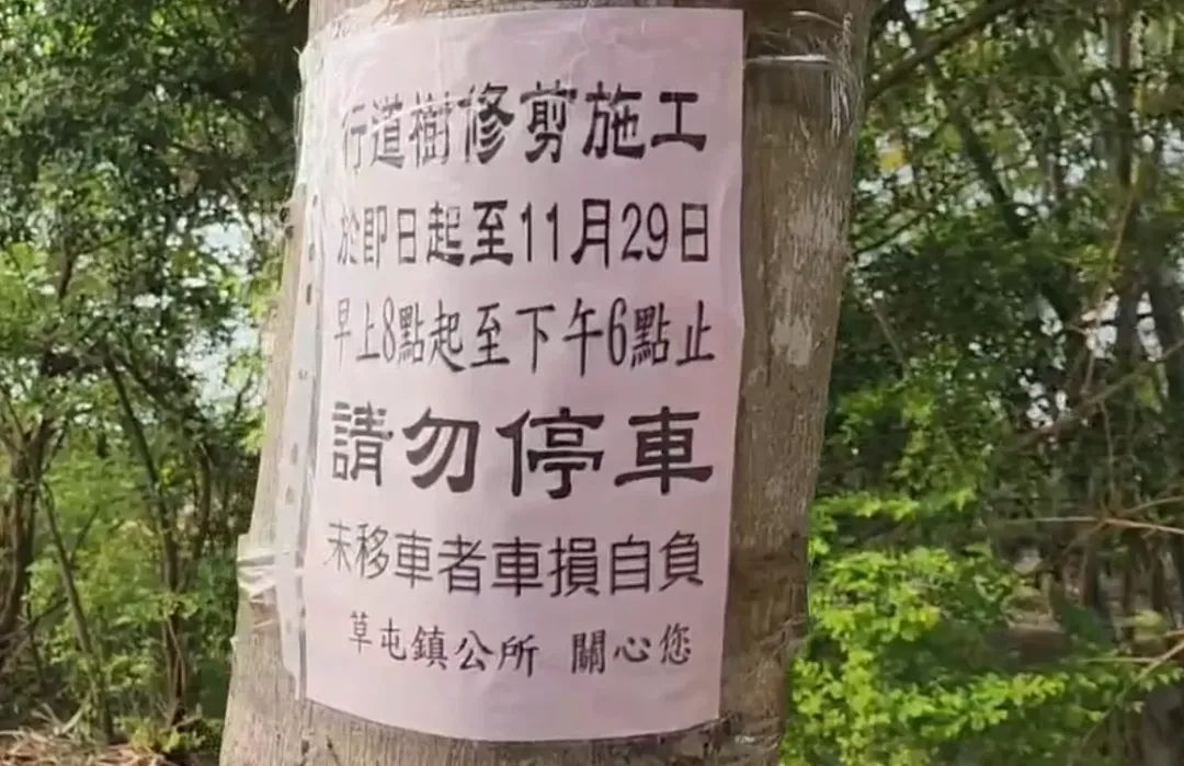 因評估小葉欖仁生長迅速，通常幾個月後就會長大到需要修剪的樹貌，為維護道路交通安全，並考量公共利益，才會請廠商進行必要的修剪。（圖/中天新聞）
