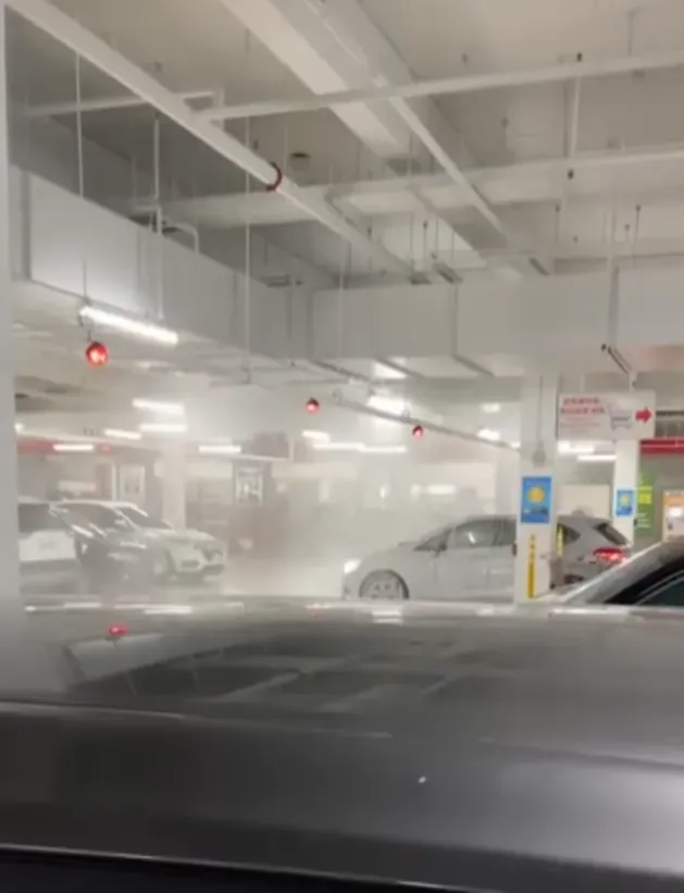 好市多停車場慘變「大型洗車場」,畫面曝光引起網友討論。(圖/翻攝自爆料公社)