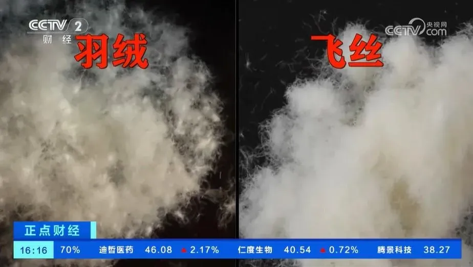 羽絨和劣質「飛絲」價差很大。（圖／翻攝央視網）