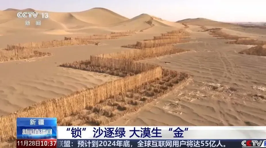 一年多來動員60多萬人。(圖/翻攝央視網)