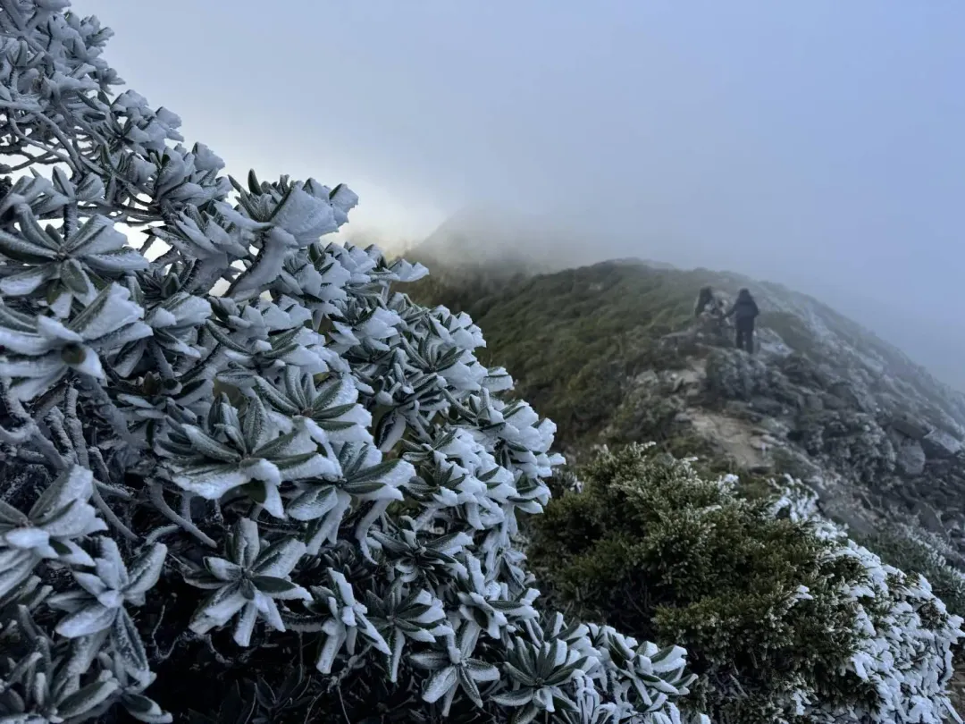 低溫和強陣風吹襲，雪管處提醒登山民眾注意風寒效應、水寒效應造成失溫。（圖／山友周曉芳提供）