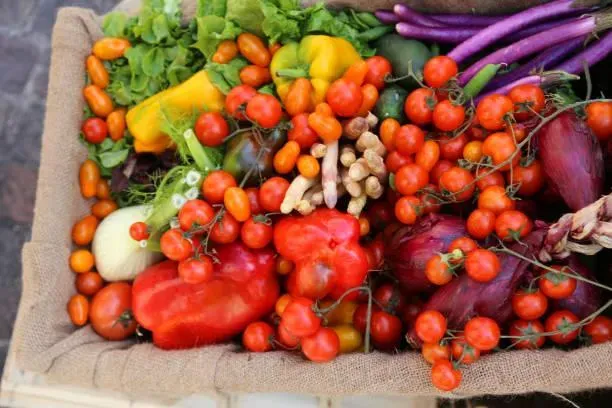 蔬菜水果含有植物生化素(Phytochemicals),可增強免疫力、阻斷癌血管增生。(示意圖/pexels)