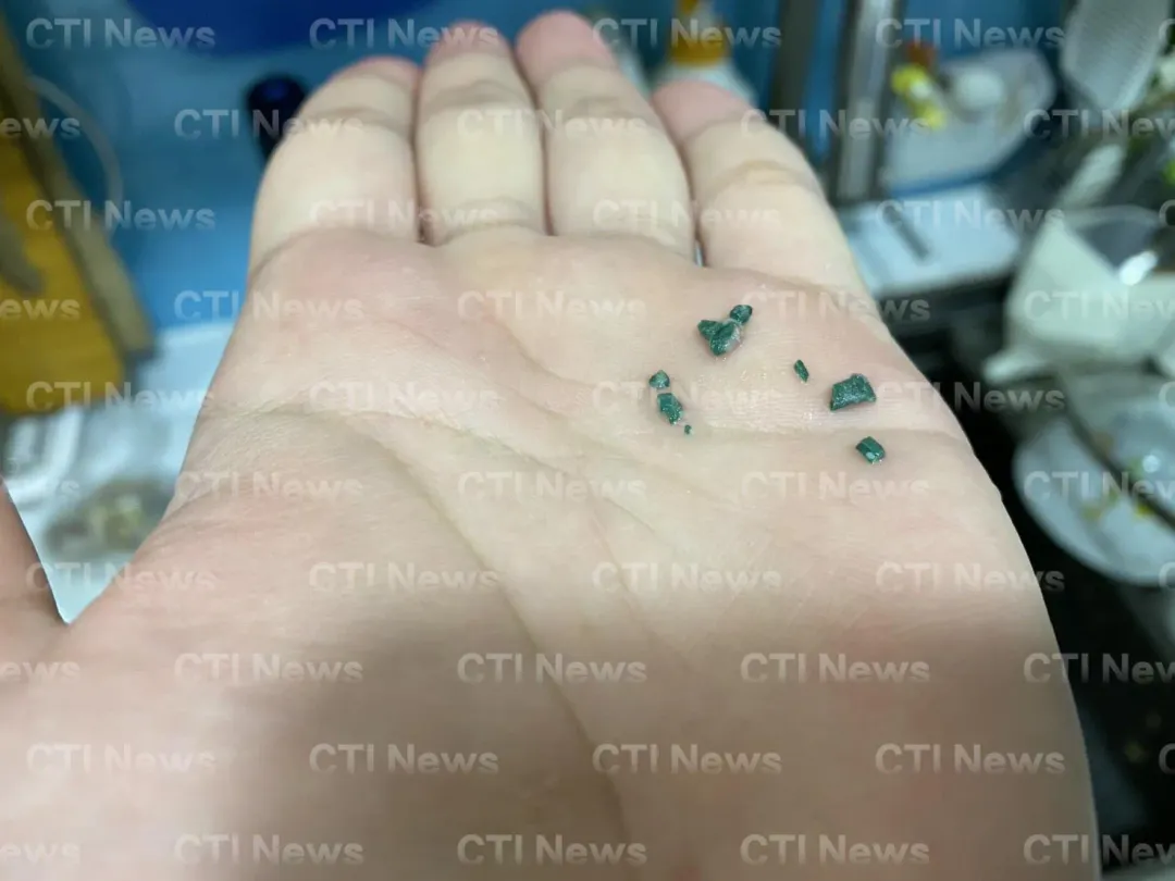 民眾將披薩裡的藍綠色異物一顆顆挑出來，口感和外觀都不像餐點會出現的調味用品。（圖／民眾提供）