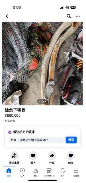 網路出現鯨魚下顎骨出售文。(圖/海保署提供)