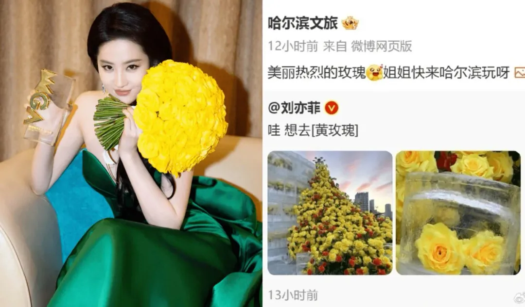 「玫瑰的故事」女主角劉亦菲發文表示想去看冰封玫瑰。（圖／翻攝微博）