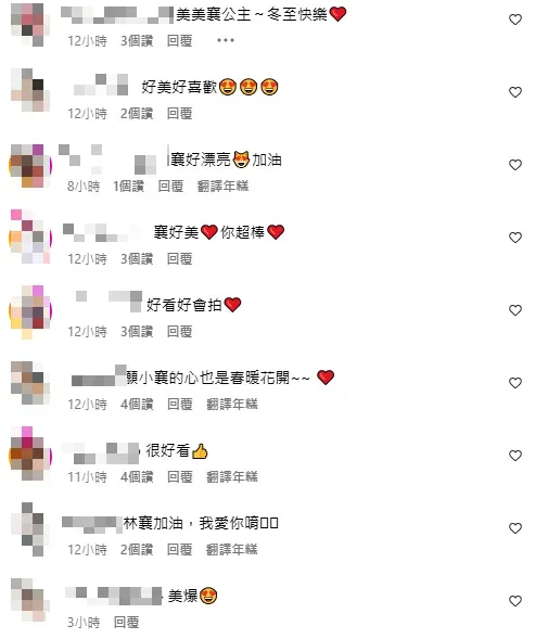 粉絲留言幫林襄加油。（圖／翻攝自Instagram／95_mizuki）