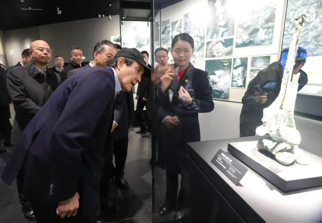 馬英九對文物十分感興趣。(圖/馬英九辦公室提供)
