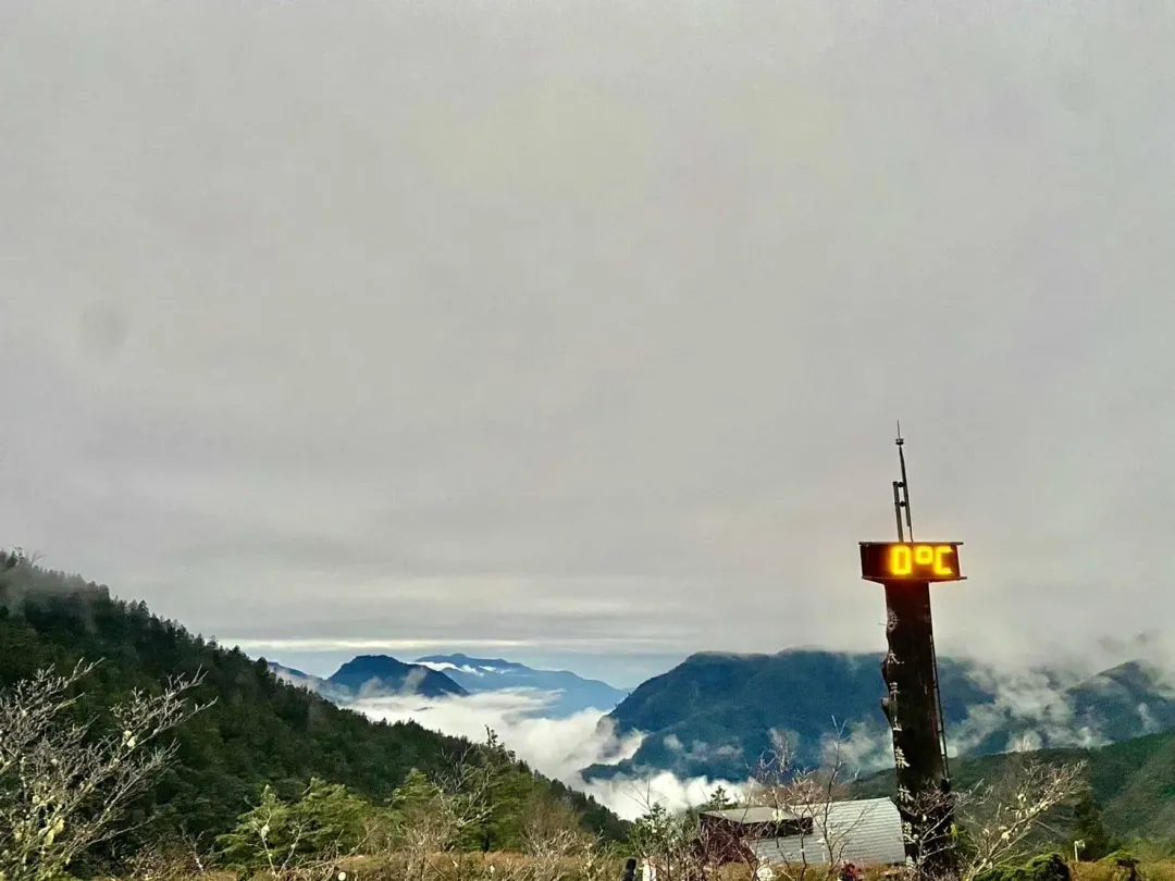 太平山0度低溫。（圖／翻攝畫面）