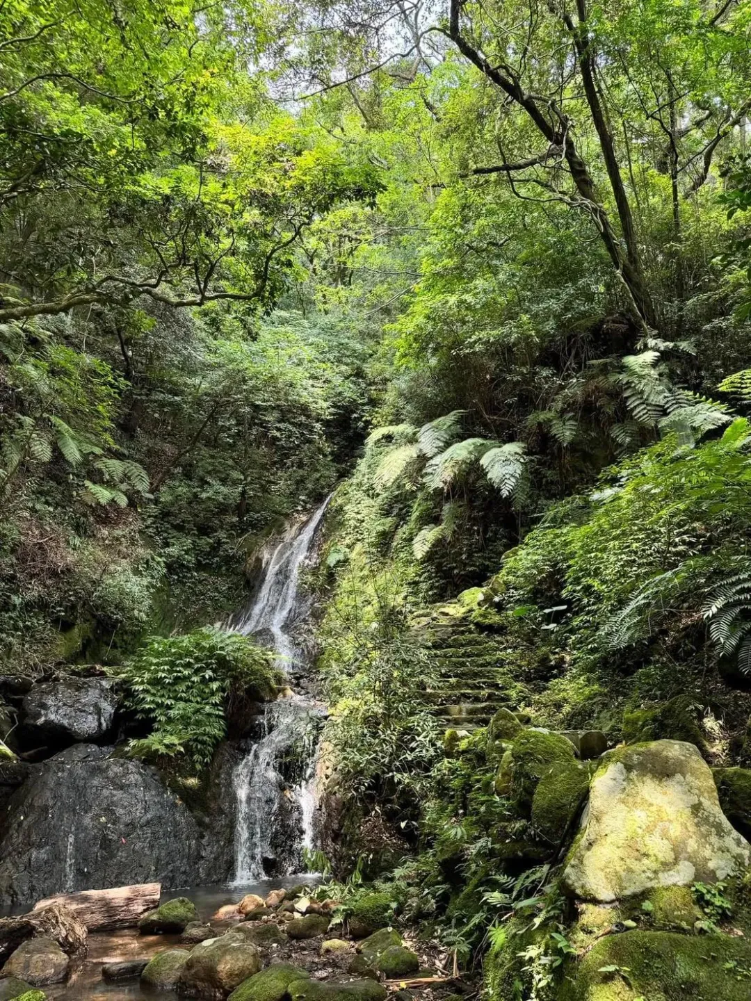 深入到陽明山噴水池旁，可在路邊找到小隱潭瀑布入口，欣賞瀑布飛流而下。（圖／民眾王純月授權提供）
