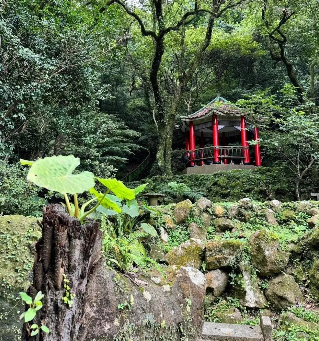附近有涼亭提供遊客歇腳，還能欣賞周圍山林與小隱潭瀑布相映。（圖／民眾王純月授權提供）