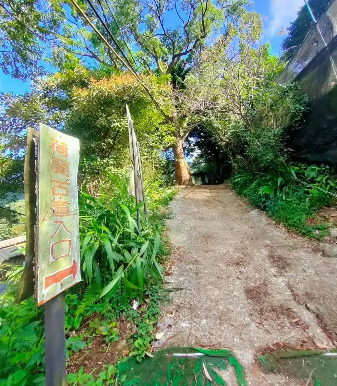 陽明山中有段「荷蘭古道」，可通往高頂山、北五指山，名稱來源眾說紛紜。（圖／台灣山野樂活協會授權提供）