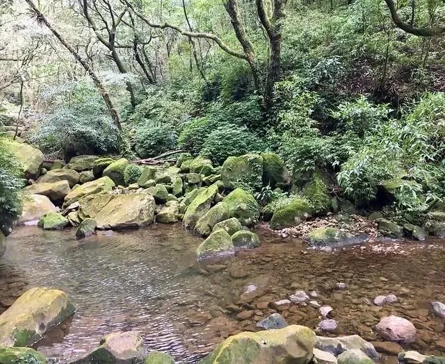 古道沿頂山溪而行，潺潺水聲引領遊客找尋世外桃源。（圖／台灣山野樂活協會授權提供）