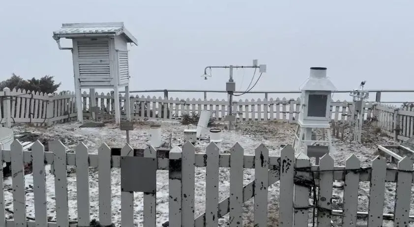 玉山今（3）日下午13時05分再度下雪，時間持續35分之久。（圖／翻攝畫面）