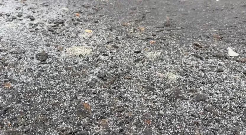 玉山今（3）日下午13時05分再度下雪，時間持續35分之久。（圖／翻攝畫面）