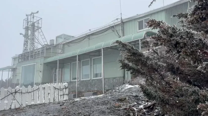 玉山今（3）日下午13時05分再度下雪，時間持續35分之久。（圖／翻攝畫面）