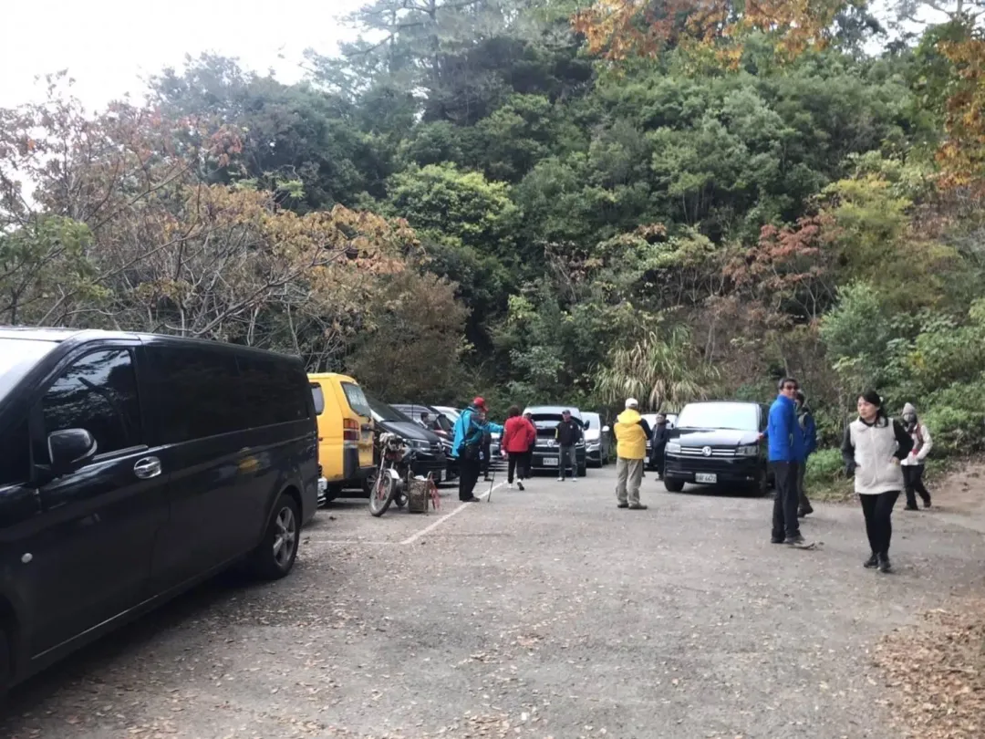 新竹尖石鄉霞喀羅步道到了賞楓季湧入大量遊客。(圖/中天新聞)
