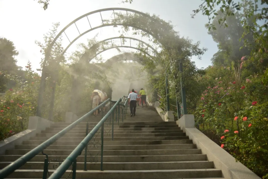 苗栗新景點雅聞七里香玫瑰森林，座落於明德水庫風景區旁，是全台最大的玫瑰花園。（圖/苗栗縣頭屋鄉觀光旅遊網）