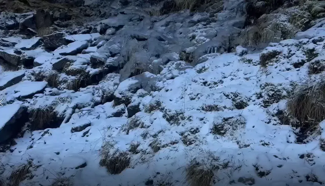 雪山黑森林結冰步道。(圖/山友許雅涵提供)