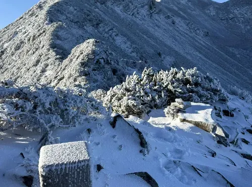 大霸尖山、雪山主峰被白雪覆蓋。(圖/山友楊睿安提供)