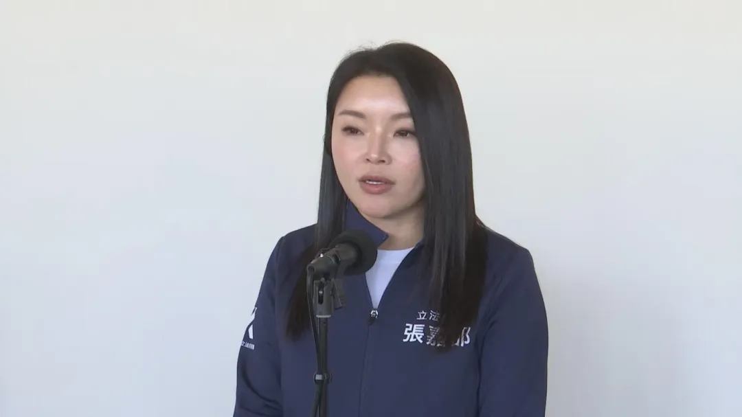 國民黨立委張嘉郡。（圖／中天新聞）