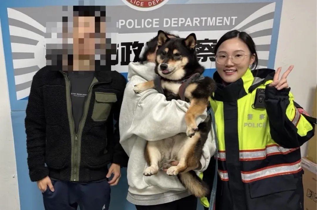 警方協助萌犬「熊熊」找到飼主。（圖／翻攝畫面）