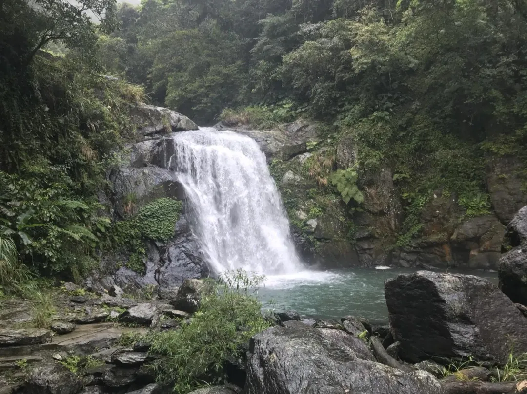 內洞國家森林遊樂區瀑布。（圖／翻攝自台灣山林悠遊網）