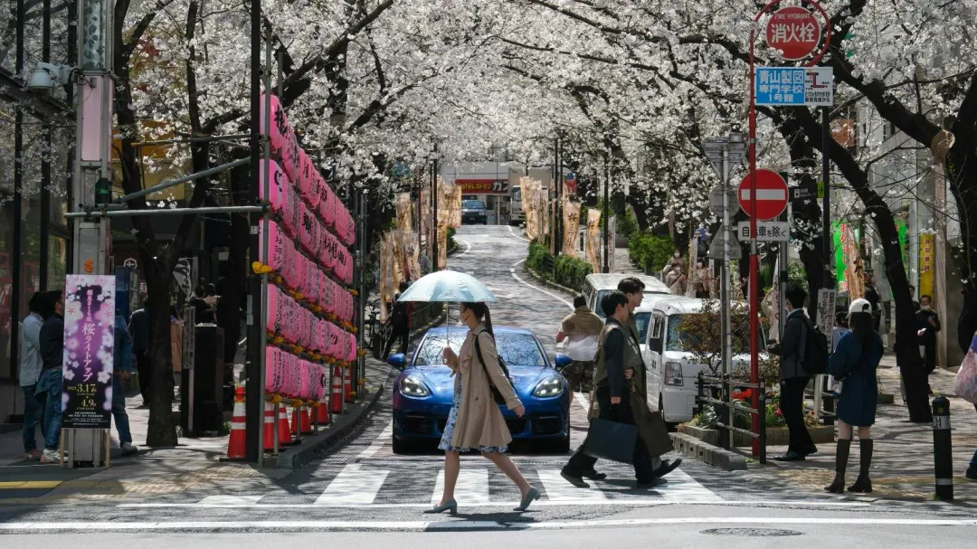 日本3月將迎來櫻花季。（示意圖／unsplash）